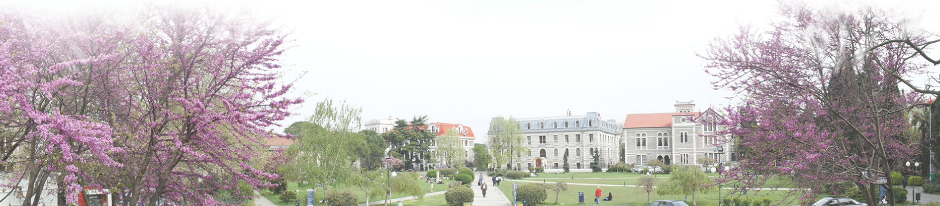 Güncel Gelişmeler Işığında SDSN Girişimleri