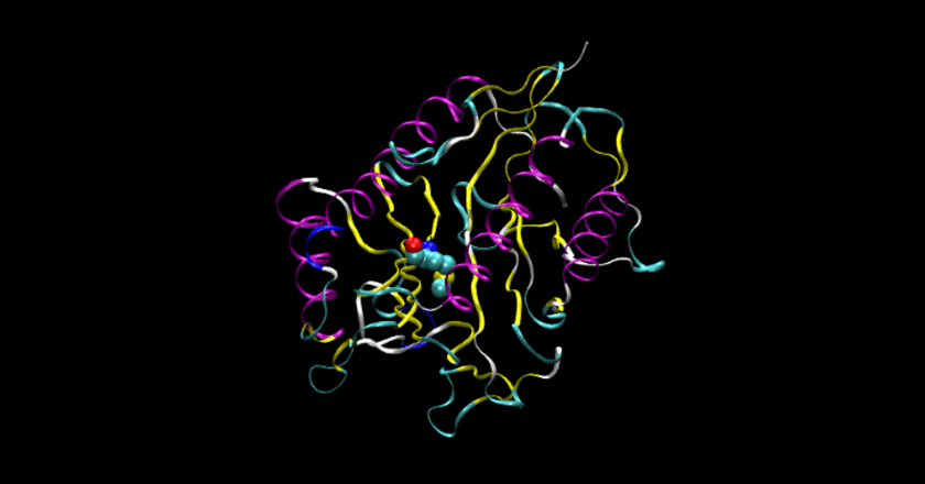Enzymatic Catalysis