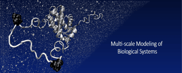 Multi-Scale Modeling of Biological Systems