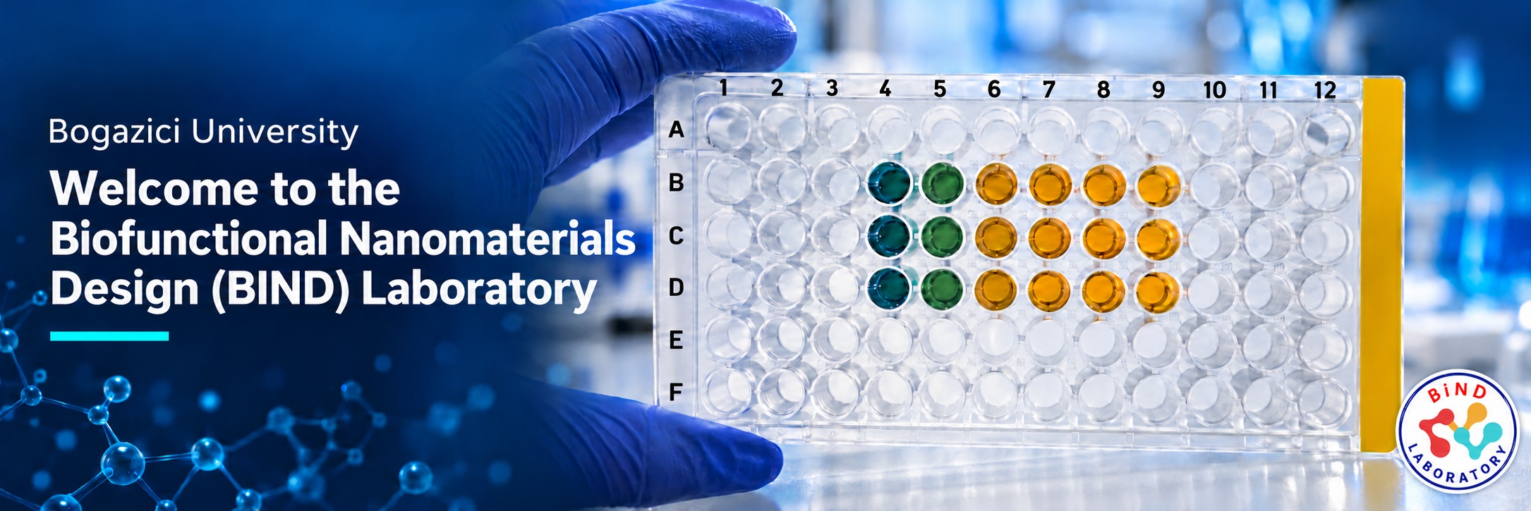 Welcome to the Biofunctional Nanomaterials Design (BIND) Laboratory
