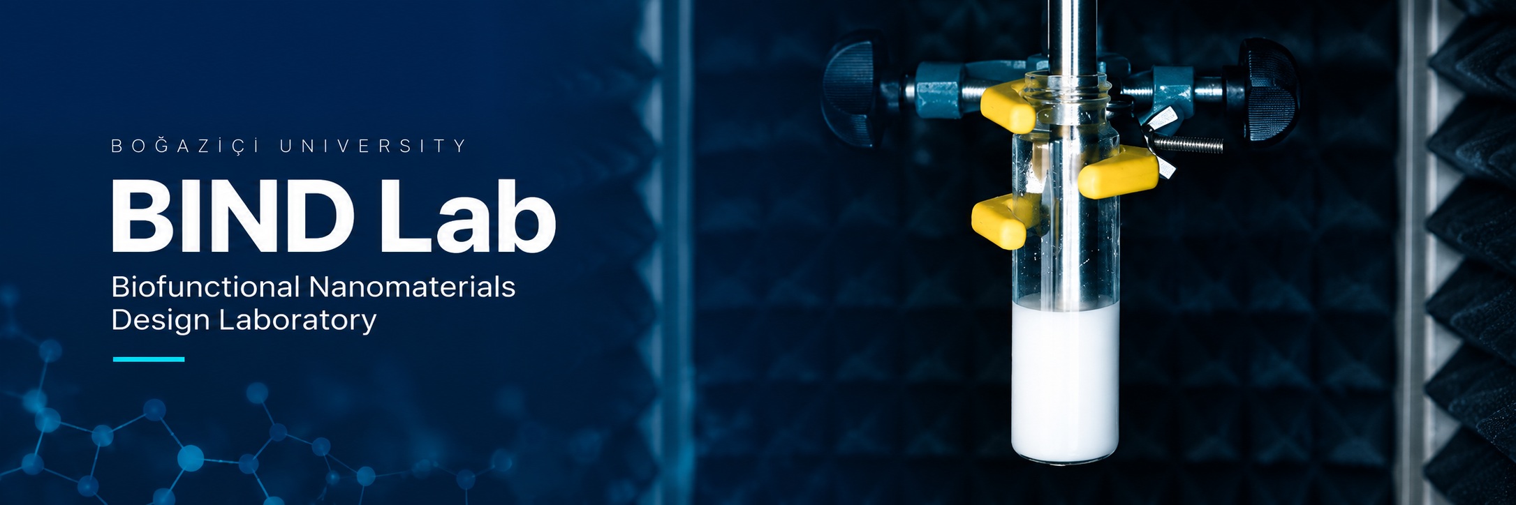 Welcome to the Biofunctional Nanomaterials Design Laboratory