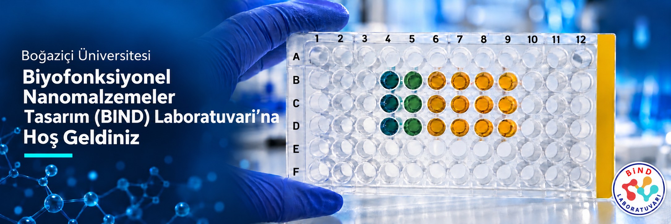 Welcome to the Biofunctional Nanomaterials Design (BIND) Laboratory