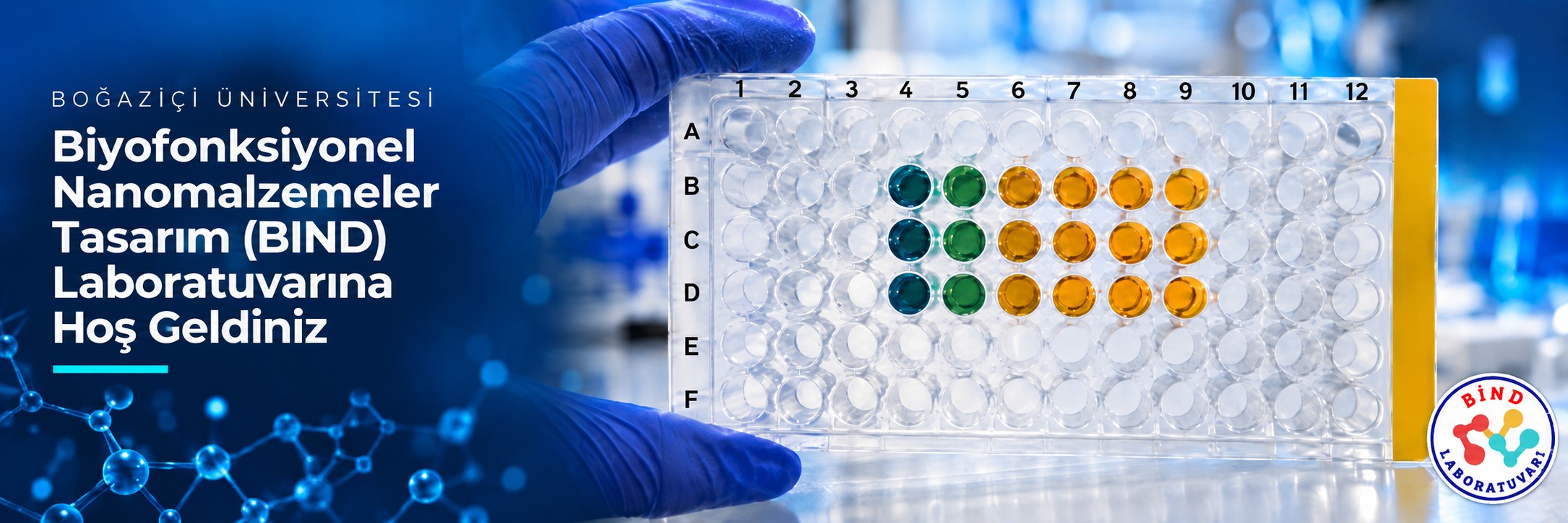 Welcome to the Biofunctional Nanomaterials Design (BIND) Laboratory