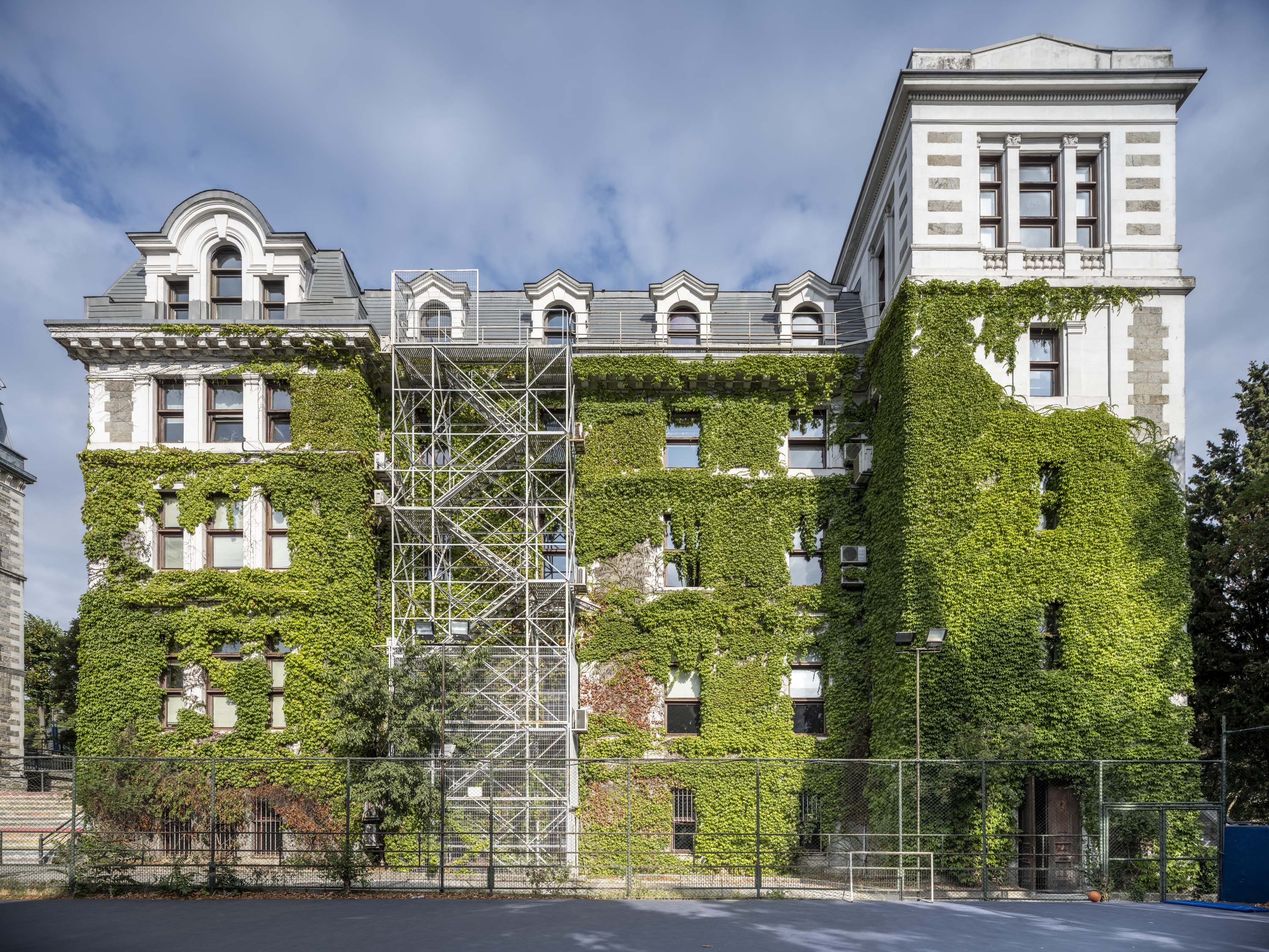 Department of Management