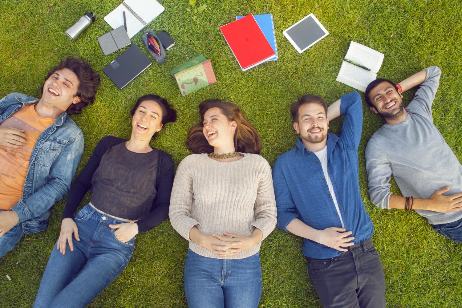 INDIVIDUAL CONSULTANCY