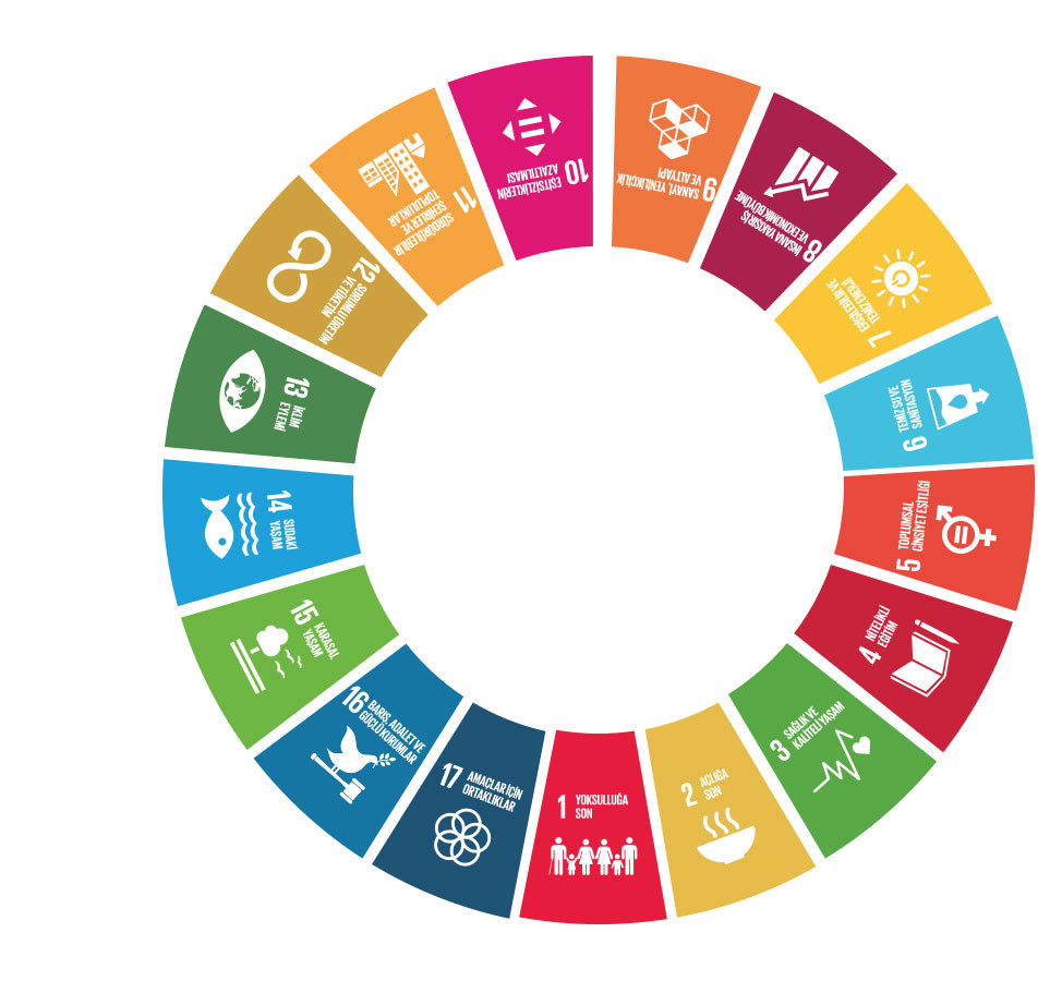 SDSN Türkiye'nin Amaçları