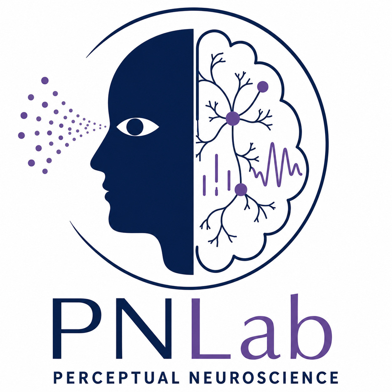 Our Research Focus