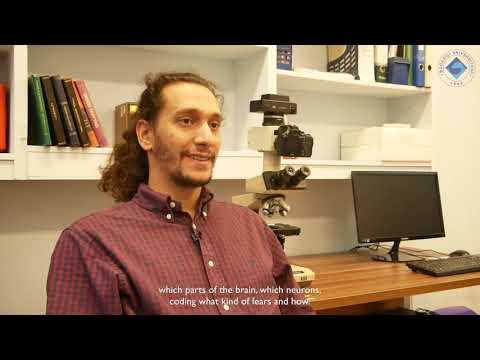 BÜ Dr. Öğr. Üyesi Güneş Ünal- Korkuyla Yüzleşmek #BoğaziçiBuzz