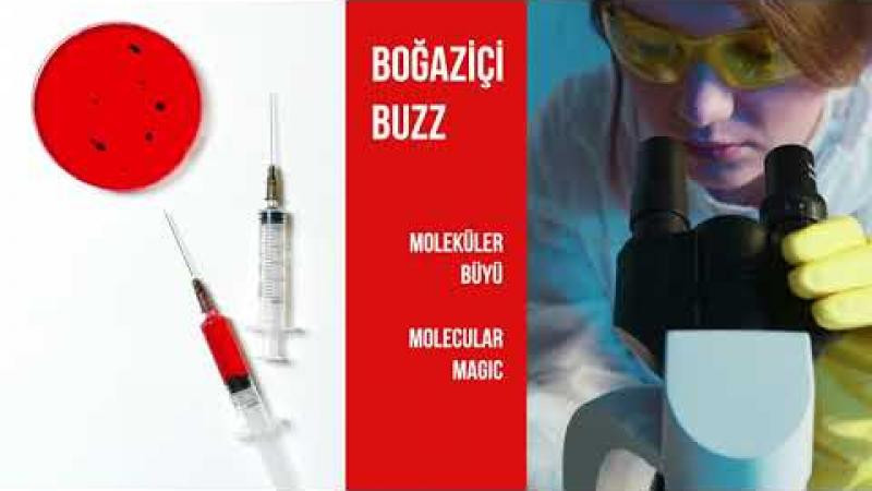 Moleküler Büyü