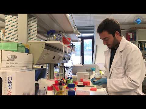 BÜ öğretim üyesi Doç Dr. Umut Şahin protein biyokimyasını araştırıyor #BoğaziçiBuzz