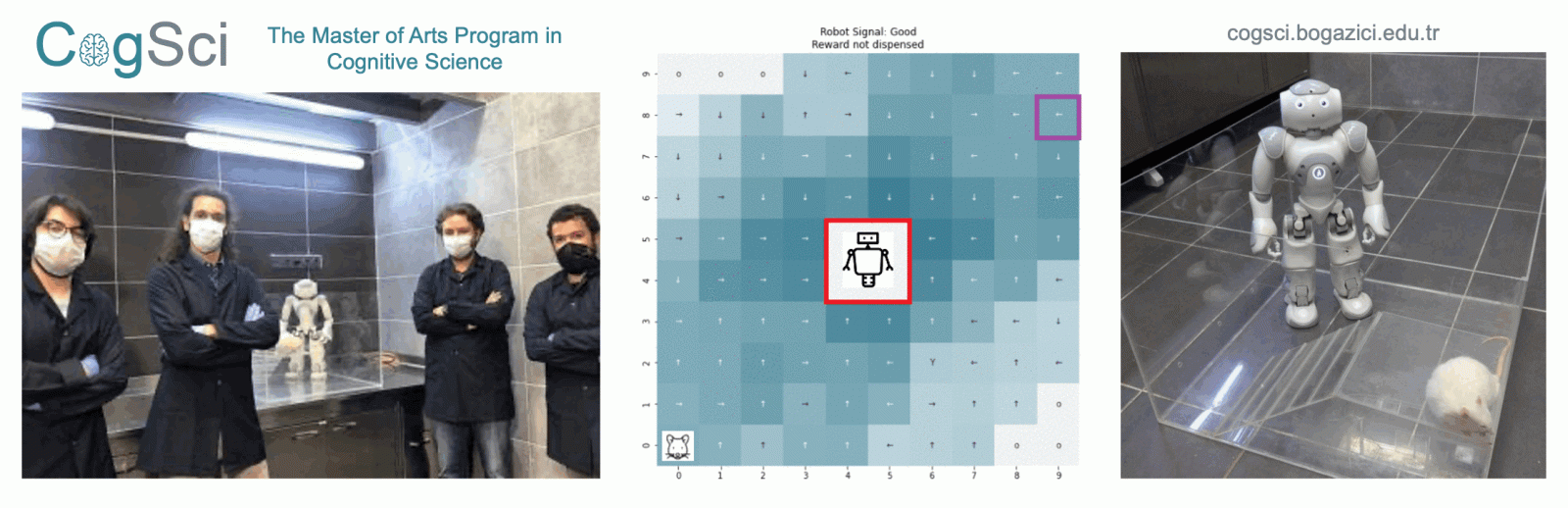 https://neuroscience.bogazici.edu.tr/sites/neuroscience.boun.edu.tr/files/ratrobot.gif