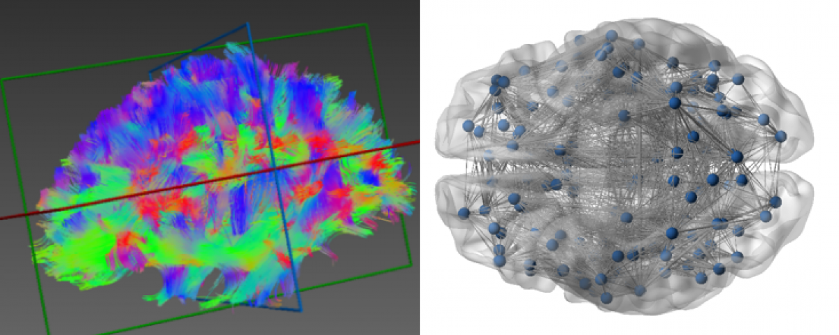 https://vavlab.bogazici.edu.tr/sites/vavlab.boun.edu.tr/files/styles/carousel_image/public/BrainBanner5.png?itok=3PyRx9qE