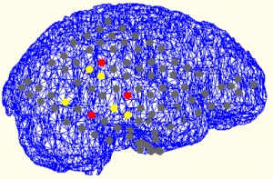 https://neurosignal.bogazici.edu.tr/sites/neurosignal.bogazici.edu.tr/files/deniz3-300x197.png