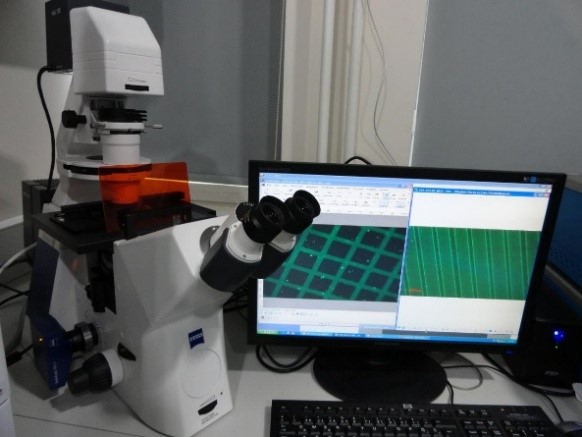 https://lifesci.boun.edu.tr/wp-content/uploads/2022/07/fluorescence-microscope.jpg