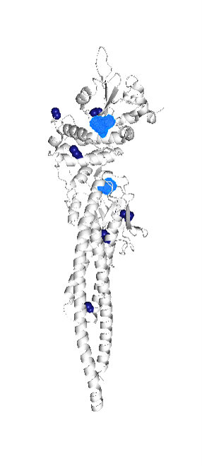Protein structure and mutation analysis