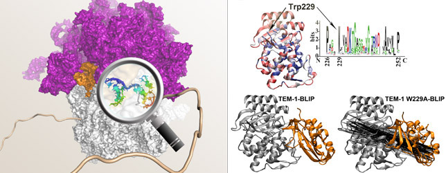 Computational Structural Biology