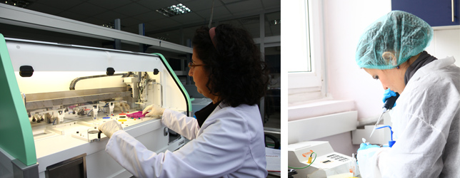 Biosystems Engineering