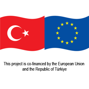 TR-EU Flags