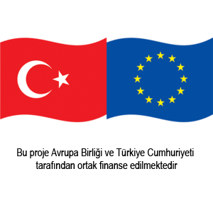 TR-EU Flags