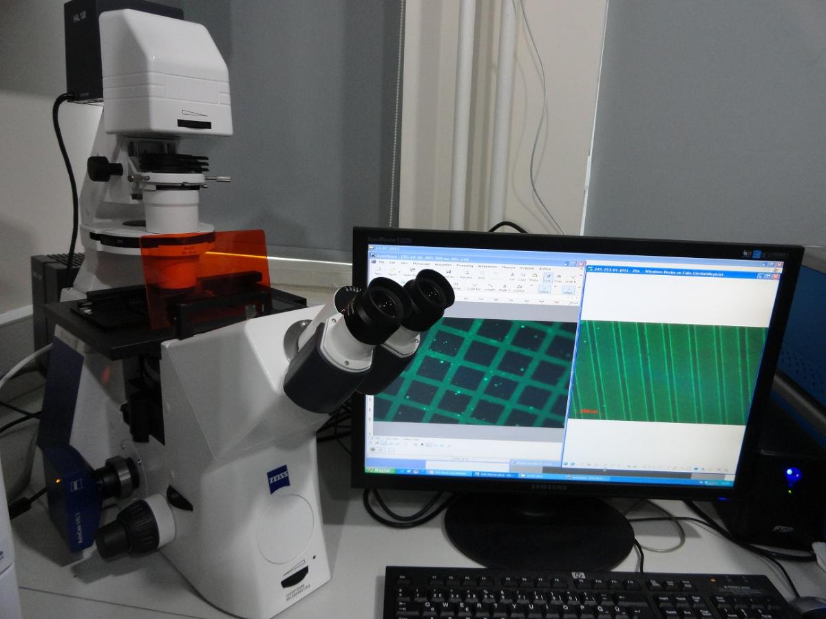 microscope