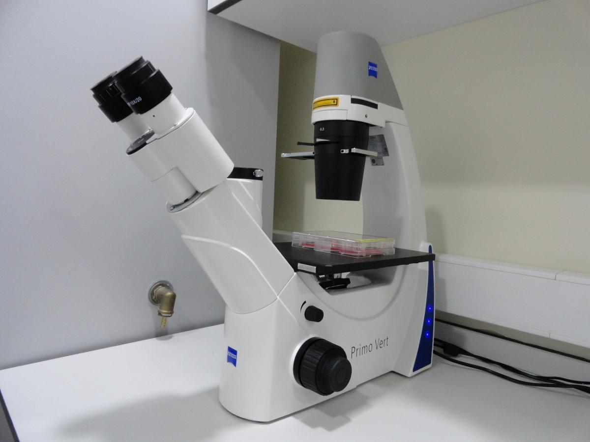 microscope