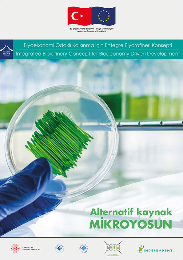 INDEPENDENT Projesi Tanıtım Broşürü